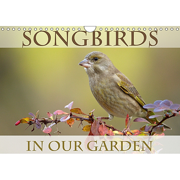 Songbirds in Our Garden (Wall Calendar 2019 DIN A4 Landscape), BIA birdimagency