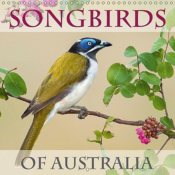 Songbirds of Australia (Wall Calendar 2018 300 × 300 mm Square), BIA birdimagency