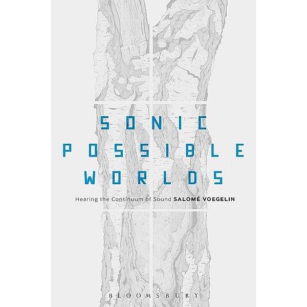 Sonic Possible Worlds, Salomé Voegelin