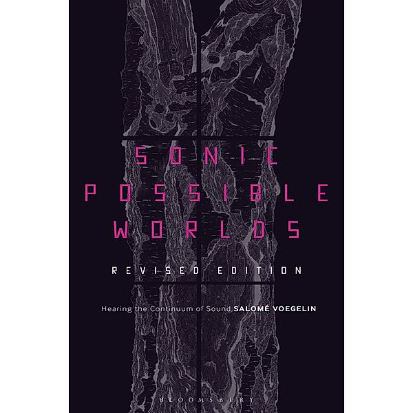 Sonic Possible Worlds