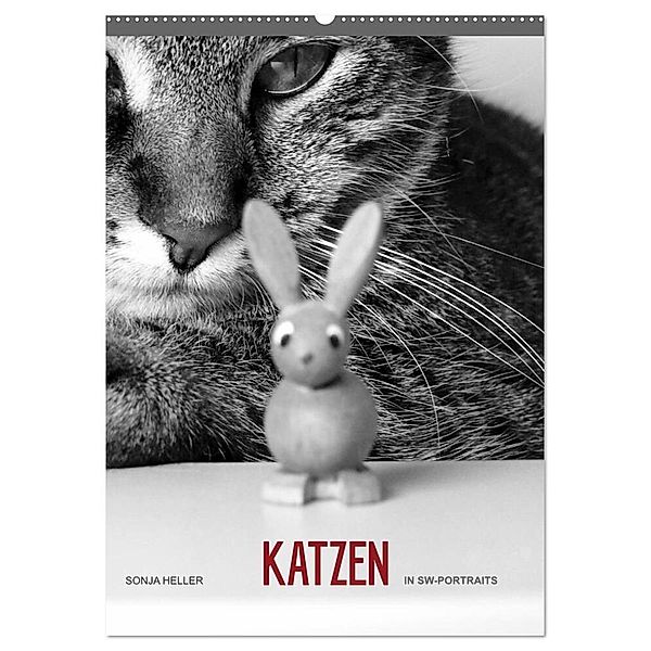 Sonja Heller Katzen in SW-Portraits (Wandkalender 2024 DIN A2 hoch), CALVENDO Monatskalender, Sonja Heller