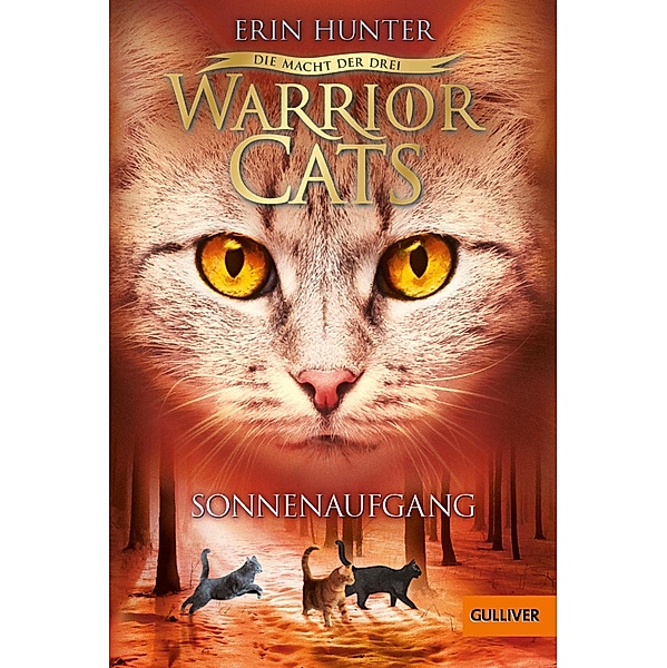 Sonnenaufgang / Warrior Cats Staffel 3 Bd.6, Erin Hunter