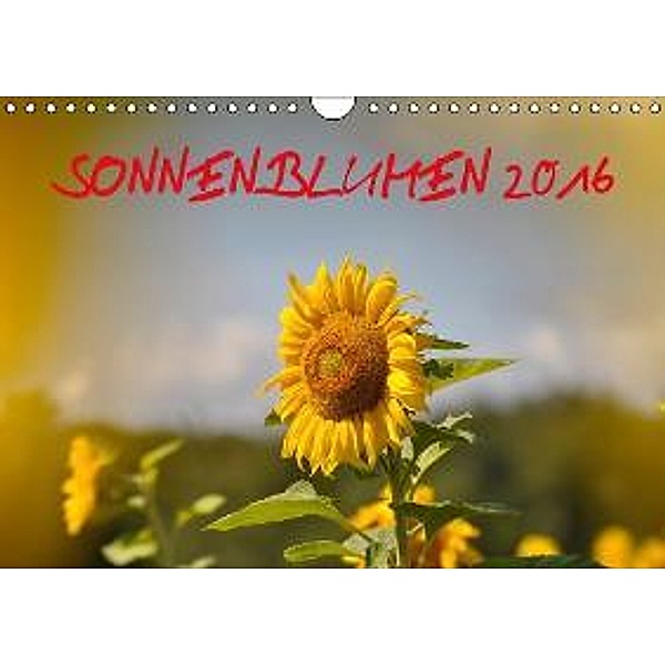 Sonnenblumen 2016 (Wandkalender 2016 DIN A4 quer), Bildagentur Geduldig