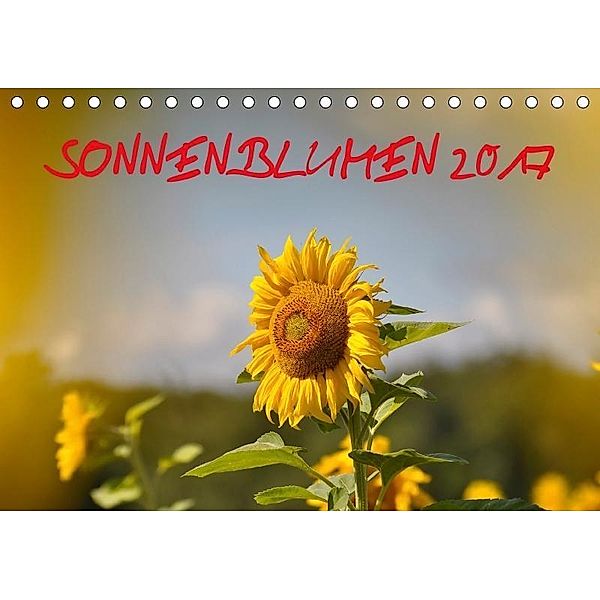 Sonnenblumen 2017 (Tischkalender 2017 DIN A5 quer), Bildagentur Geduldig