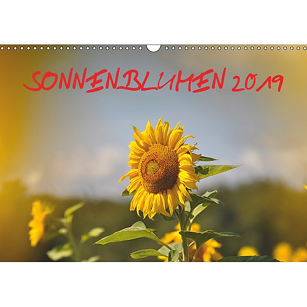 Sonnenblumen 2019 (Wandkalender 2019 DIN A3 quer), Bildagentur Geduldig