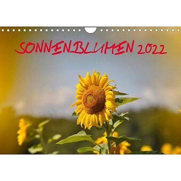 Sonnenblumen 2022 (Wandkalender 2022 DIN A4 quer), Bildagentur Geduldig