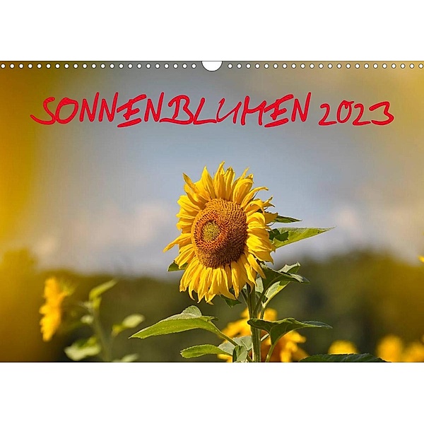 Sonnenblumen 2023 (Wandkalender 2023 DIN A3 quer), Bildagentur Geduldig