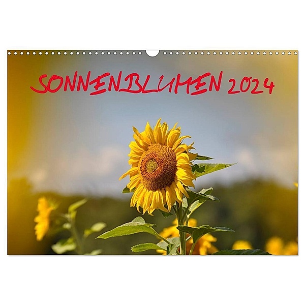 Sonnenblumen 2024 (Wandkalender 2024 DIN A3 quer), CALVENDO Monatskalender, Bildagentur Geduldig