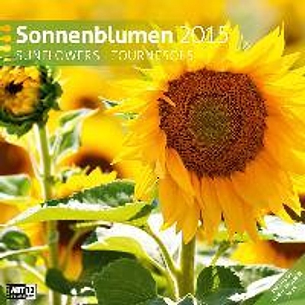 Sonnenblumen 30 x 30 cm 2015