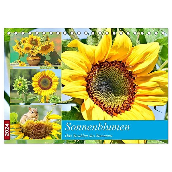 Sonnenblumen. Das Strahlen des Sommers (Tischkalender 2024 DIN A5 quer), CALVENDO Monatskalender, Rose Hurley