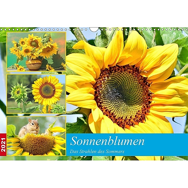 Sonnenblumen. Das Strahlen des Sommers (Wandkalender 2021 DIN A3 quer), Rose Hurley