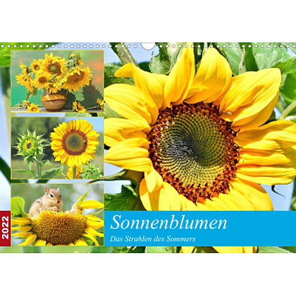 Sonnenblumen. Das Strahlen des Sommers (Wandkalender 2022 DIN A3 quer), Rose Hurley