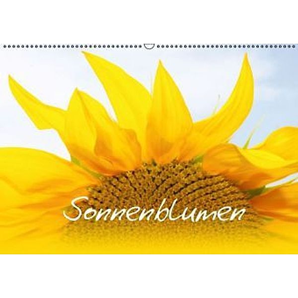 Sonnenblumen - die Blumen der Lebensfreude (Wandkalender 2016 DIN A2 quer), Maria-Anna Ziehr