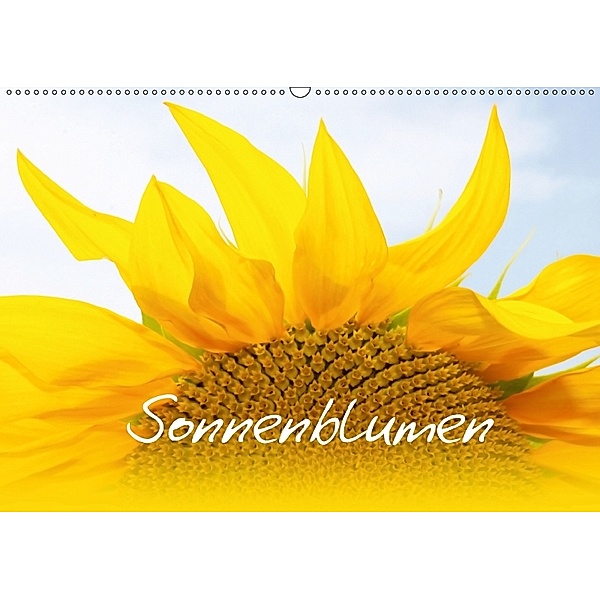 Sonnenblumen - die Blumen der Lebensfreude (Wandkalender 2018 DIN A2 quer), Maria-Anna Ziehr