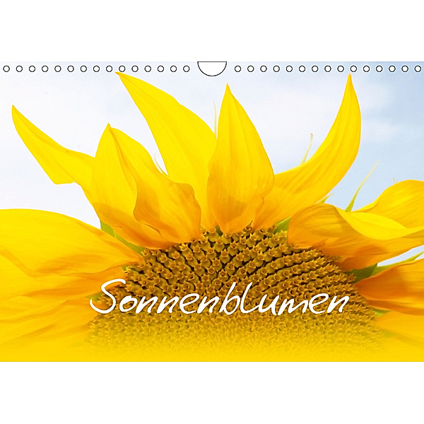 Sonnenblumen - die Blumen der Lebensfreude (Wandkalender 2019 DIN A4 quer), Maria-Anna Ziehr