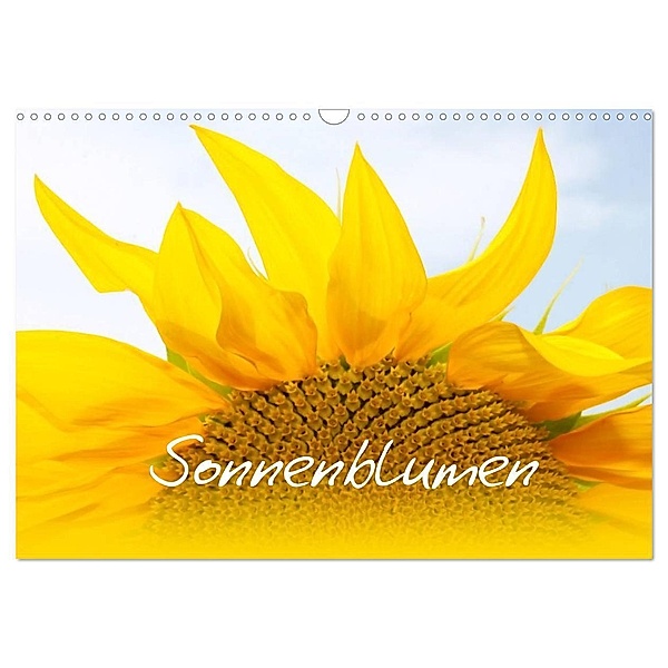 Sonnenblumen - die Blumen der Lebensfreude (Wandkalender 2024 DIN A3 quer), CALVENDO Monatskalender, Maria-Anna Ziehr