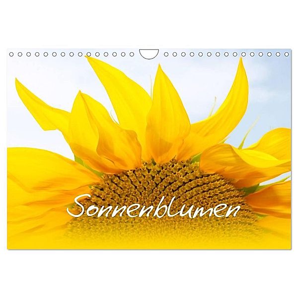 Sonnenblumen - die Blumen der Lebensfreude (Wandkalender 2024 DIN A4 quer), CALVENDO Monatskalender, Maria-Anna Ziehr