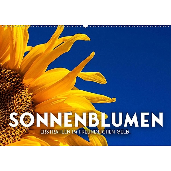 Sonnenblumen - Erstrahlen im freundlichen Gelb. (Wandkalender 2023 DIN A2 quer), SF