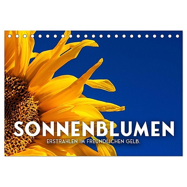 Sonnenblumen - Erstrahlen im freundlichen Gelb. (Tischkalender 2024 DIN A5 quer), CALVENDO Monatskalender, SF
