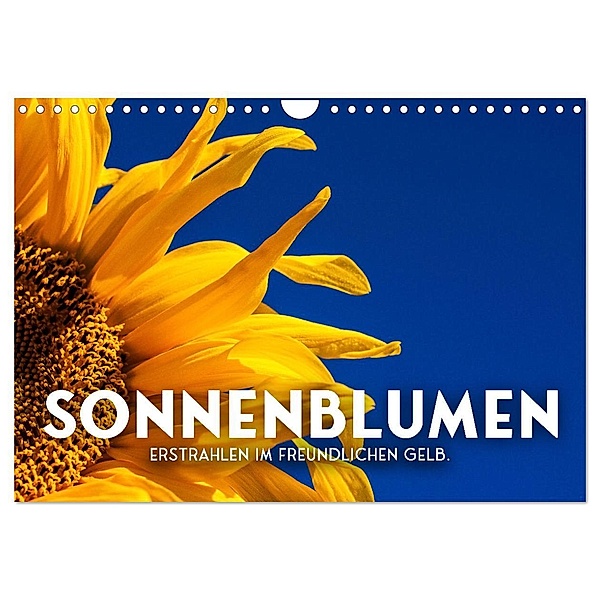 Sonnenblumen - Erstrahlen im freundlichen Gelb. (Wandkalender 2025 DIN A4 quer), CALVENDO Monatskalender, Calvendo, SF