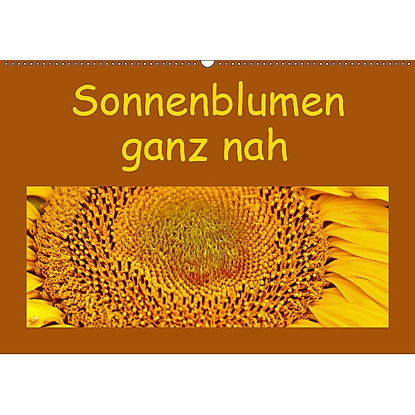 Sonnenblumen - ganz nah (Wandkalender 2019 DIN A2 quer), Hans-Georg Vorndran