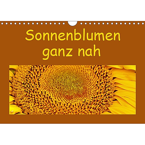 Sonnenblumen - ganz nah (Wandkalender 2019 DIN A4 quer), Hans-Georg Vorndran