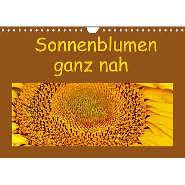 Sonnenblumen - ganz nah (Wandkalender 2022 DIN A4 quer), Hans-Georg Vorndran