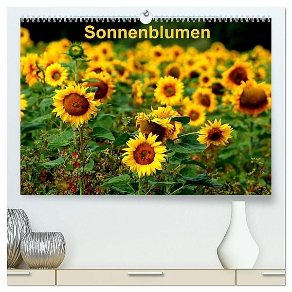 Sonnenblumen (hochwertiger Premium Wandkalender 2024 DIN A2 quer), Kunstdruck in Hochglanz, Dorothea Schulz