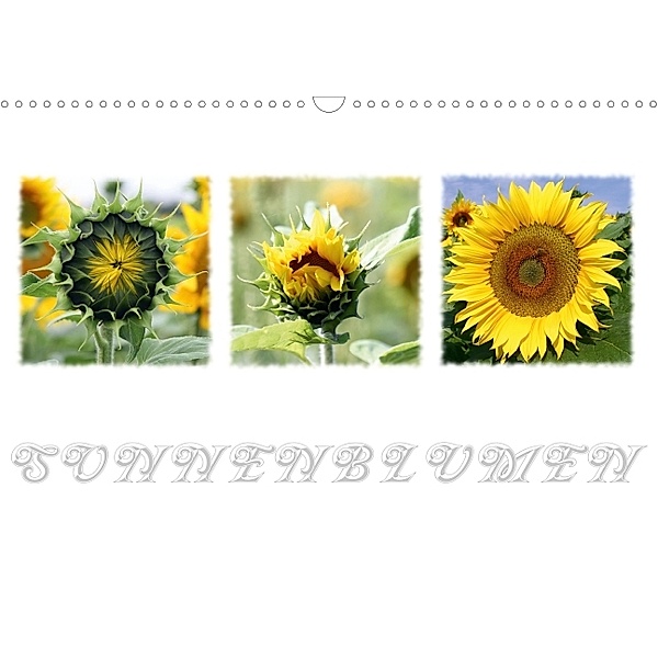 Sonnenblumen (Posterbuch DIN A4 quer), SchnelleWelten
