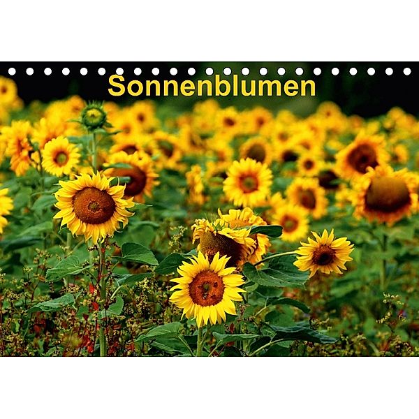 Sonnenblumen (Tischkalender 2018 DIN A5 quer), Dorothea Schulz