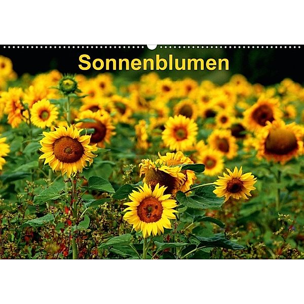 Sonnenblumen (Wandkalender 2014 DIN A2 quer), Dorothea Schulz