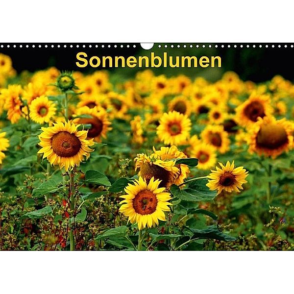 Sonnenblumen (Wandkalender 2017 DIN A3 quer), Dorothea Schulz