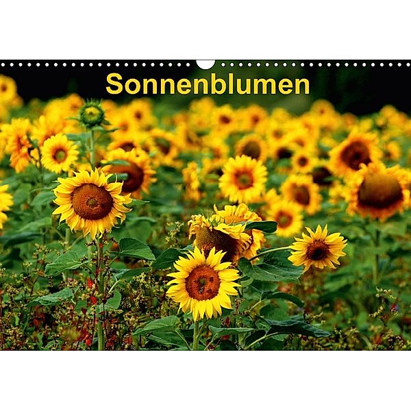 Sonnenblumen (Wandkalender 2018 DIN A3 quer), Dorothea Schulz