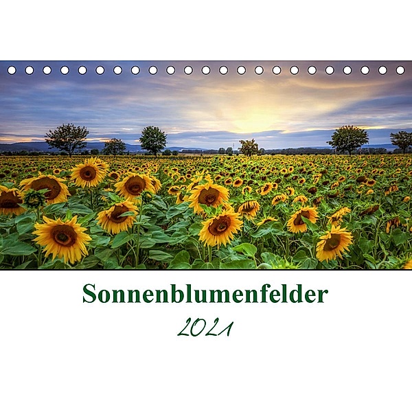 Sonnenblumenfelder (Tischkalender 2021 DIN A5 quer), Steffen Gierok, Magic Artist Design