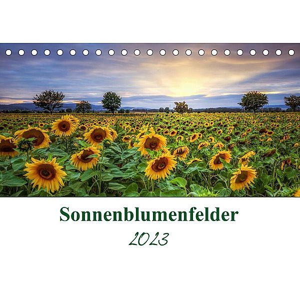 Sonnenblumenfelder (Tischkalender 2023 DIN A5 quer), Steffen Gierok, Magic Artist Design