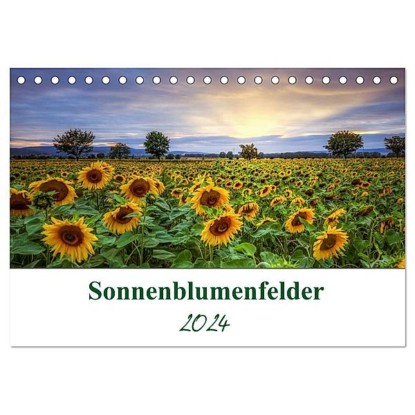 Sonnenblumenfelder (Tischkalender 2024 DIN A5 quer), CALVENDO Monatskalender, Steffen Gierok; Magic Artist Design