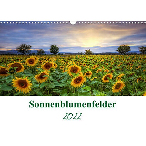 Sonnenblumenfelder (Wandkalender 2022 DIN A3 quer), Steffen Gierok, Magic Artist Design