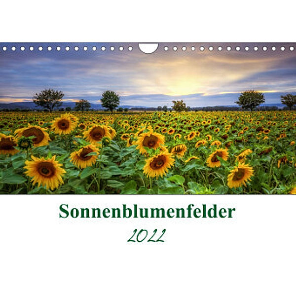 Sonnenblumenfelder (Wandkalender 2022 DIN A4 quer), Steffen Gierok, Magic Artist Design