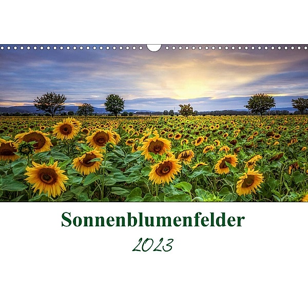 Sonnenblumenfelder (Wandkalender 2023 DIN A3 quer), Steffen Gierok, Magic Artist Design