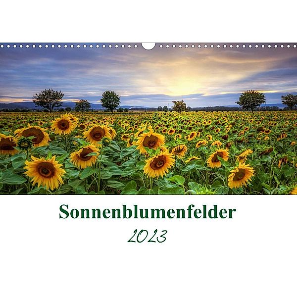 Sonnenblumenfelder (Wandkalender 2023 DIN A3 quer), Steffen Gierok, Magic Artist Design