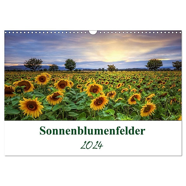 Sonnenblumenfelder (Wandkalender 2024 DIN A3 quer), CALVENDO Monatskalender, Steffen Gierok; Magic Artist Design