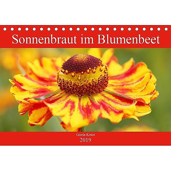 Sonnenbraut im Blumenbeet (Tischkalender 2019 DIN A5 quer), Gisela Kruse