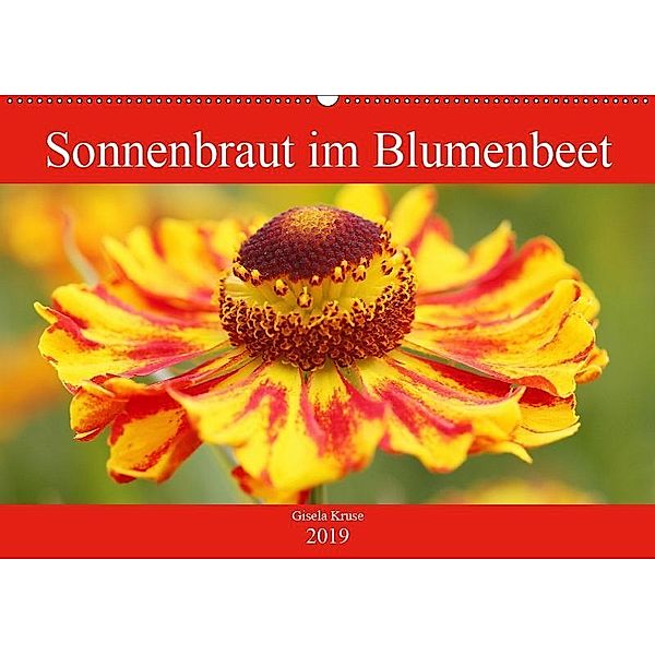 Sonnenbraut im Blumenbeet (Wandkalender 2019 DIN A2 quer), Gisela Kruse