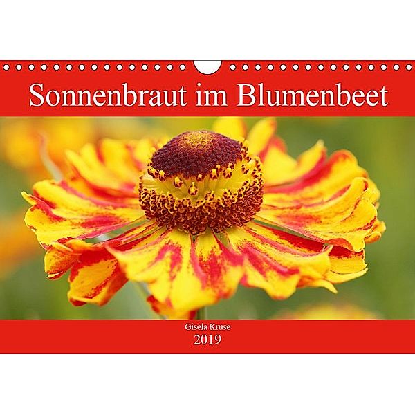Sonnenbraut im Blumenbeet (Wandkalender 2019 DIN A4 quer), Gisela Kruse