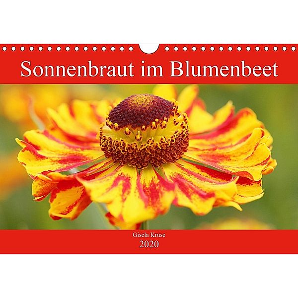 Sonnenbraut im Blumenbeet (Wandkalender 2020 DIN A4 quer), Gisela Kruse