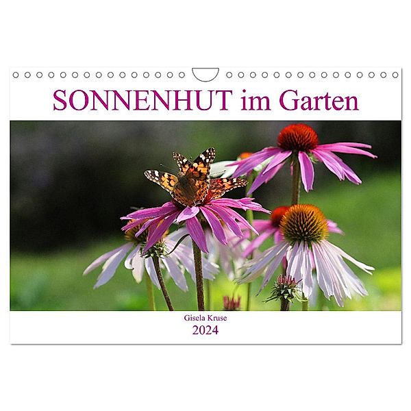 Sonnenhut im Garten (Wandkalender 2024 DIN A4 quer), CALVENDO Monatskalender, Gisela Kruse