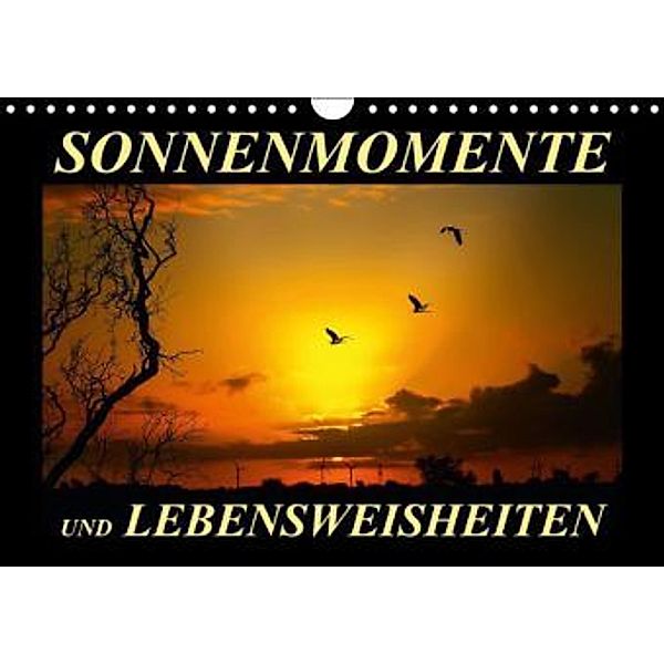 Sonnenmomente und Lebensweisheiten / Geburtstagskalender (Wandkalender 2016 DIN A4 quer), Peter Roder