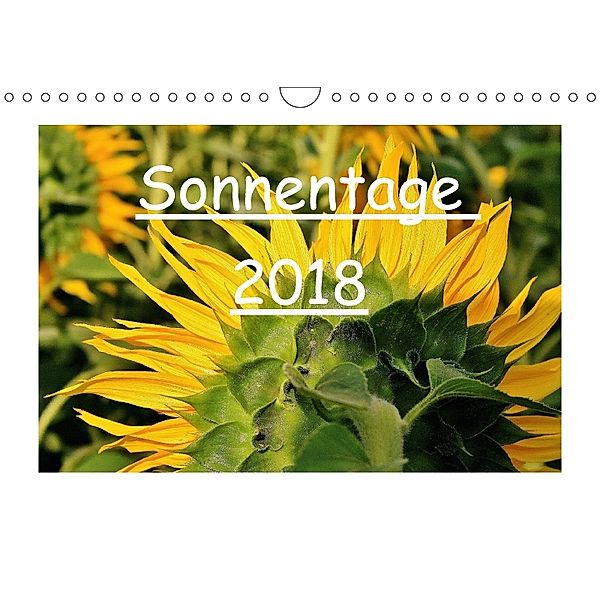 Sonnentage 2018 (Wandkalender 2018 DIN A4 quer), Heike Loß