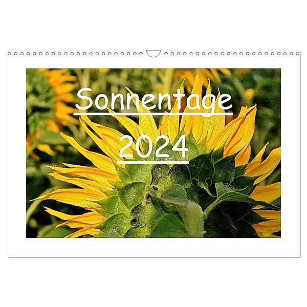 Sonnentage 2024 (Wandkalender 2024 DIN A3 quer), CALVENDO Monatskalender, Heike Loß