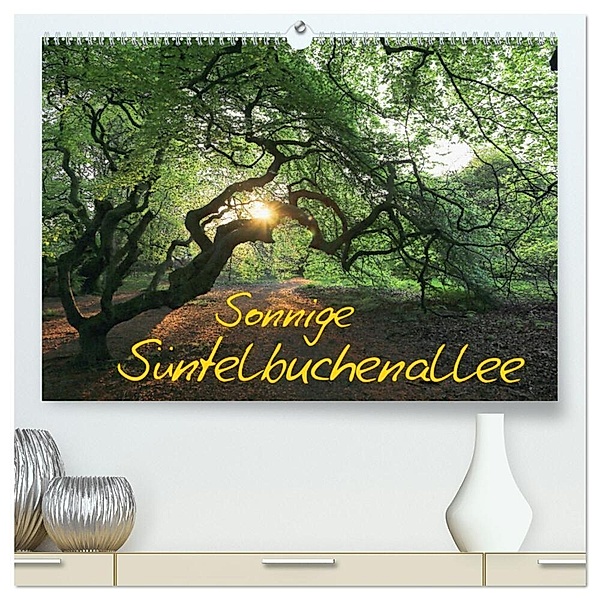 Sonnige Süntelbuchenallee (hochwertiger Premium Wandkalender 2024 DIN A2 quer), Kunstdruck in Hochglanz, Bernhard Loewa